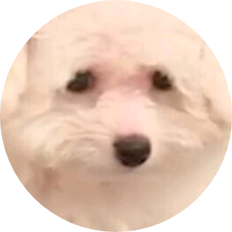 앙 꼬 공 주 image