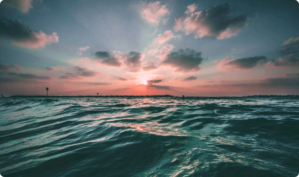 새로온 비서입니다만. thumbnail