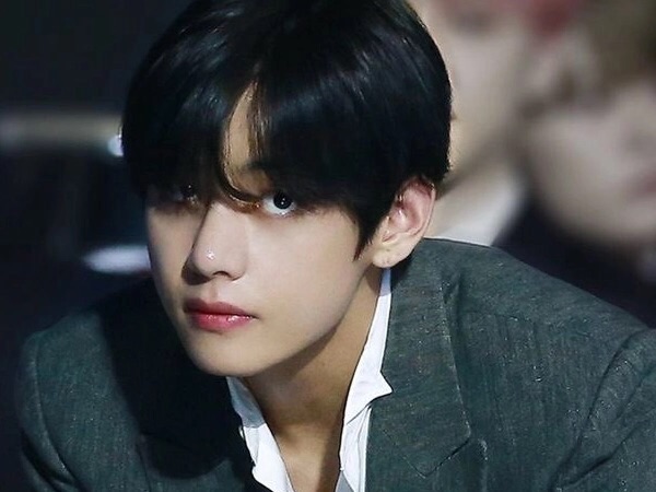 7명에게 입양됬습니다 thumbnail