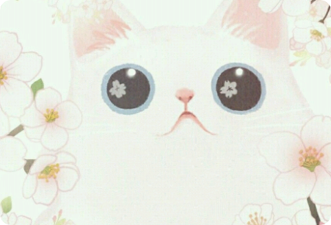 내 오빠들은 7명! thumbnail