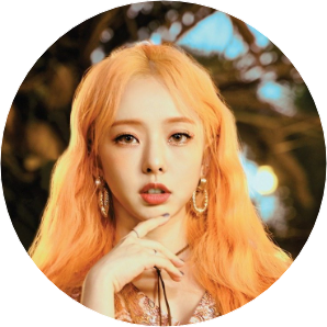 비비 image