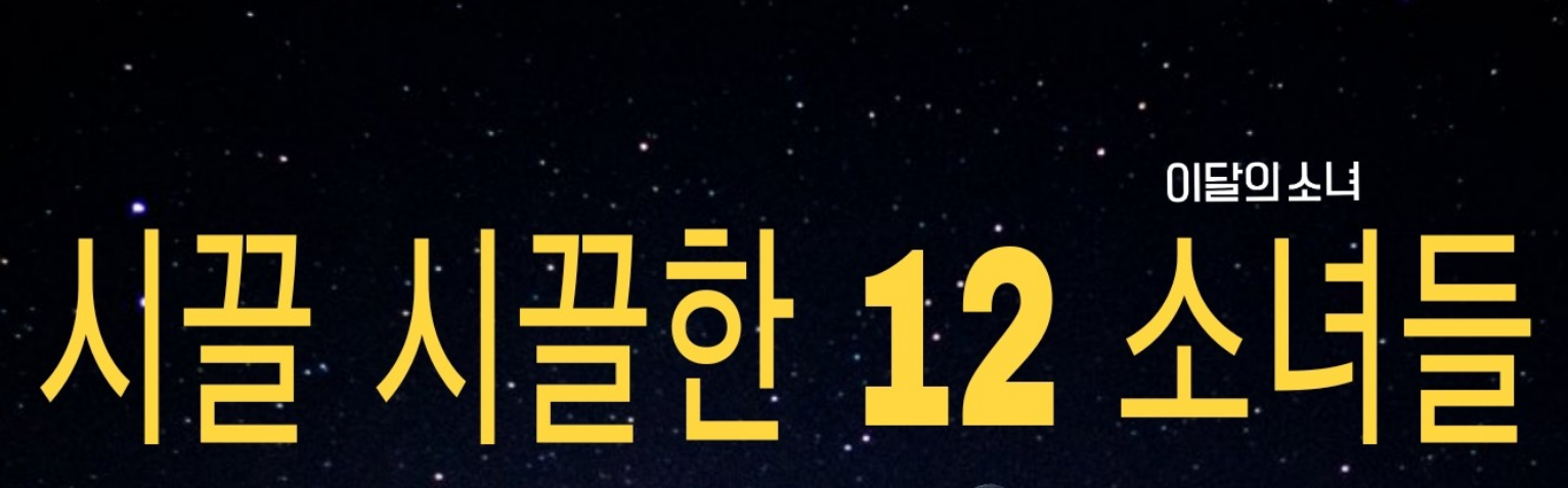 시끌 시끌한 12 소녀들 thumbnail