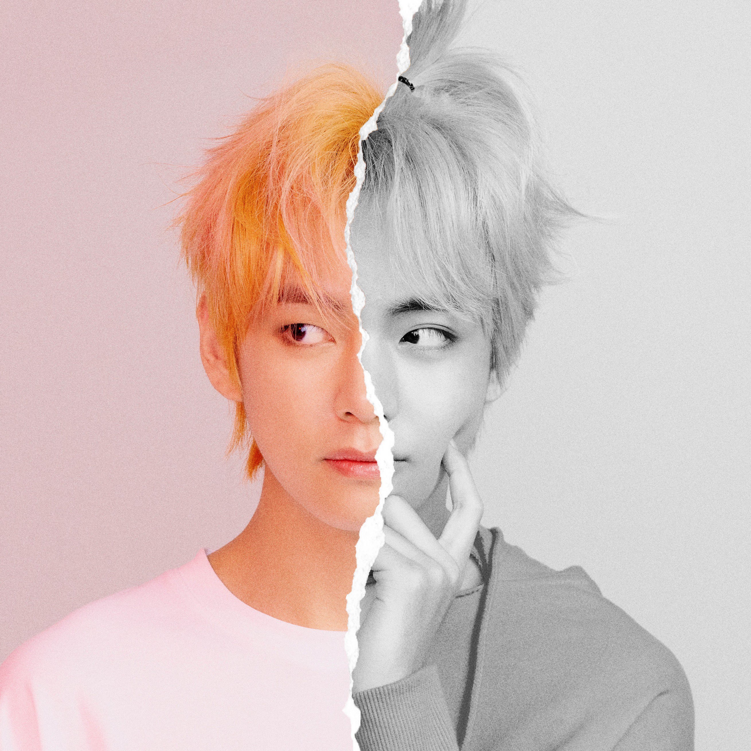 김태형 image