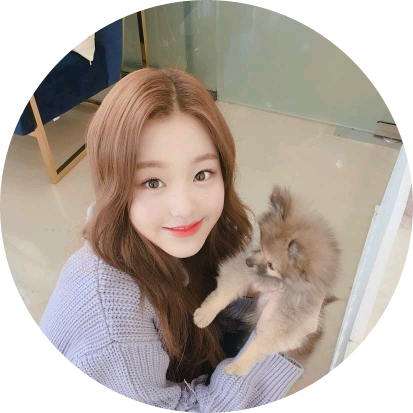 장원영 image