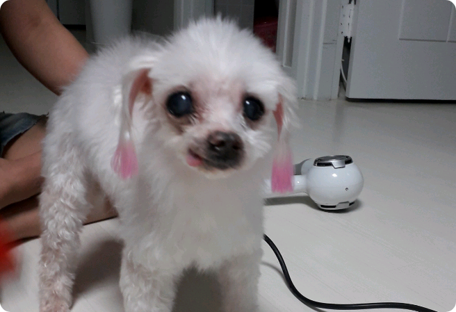 못생긴안경 thumbnail