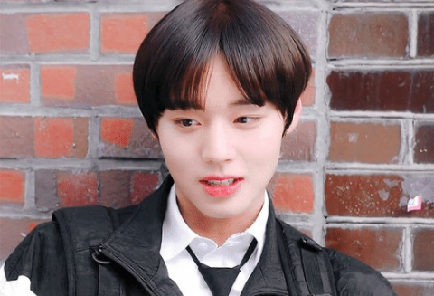 Bạn trai thực sự của tôi là Park Ji-hoon thumbnail