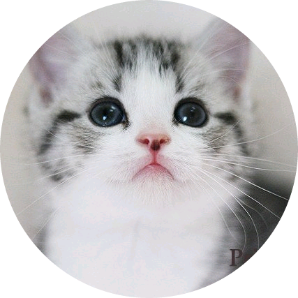 고양이(이여주) image