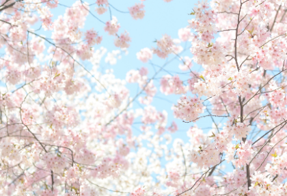 [Cho Seung-yeon] Spring breeze blowing thumbnail