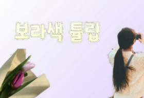 紫のチューリップ thumbnail