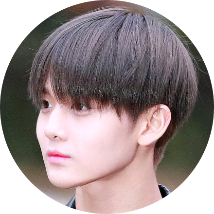배진영 image