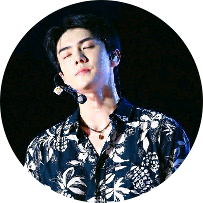 SEHUN image