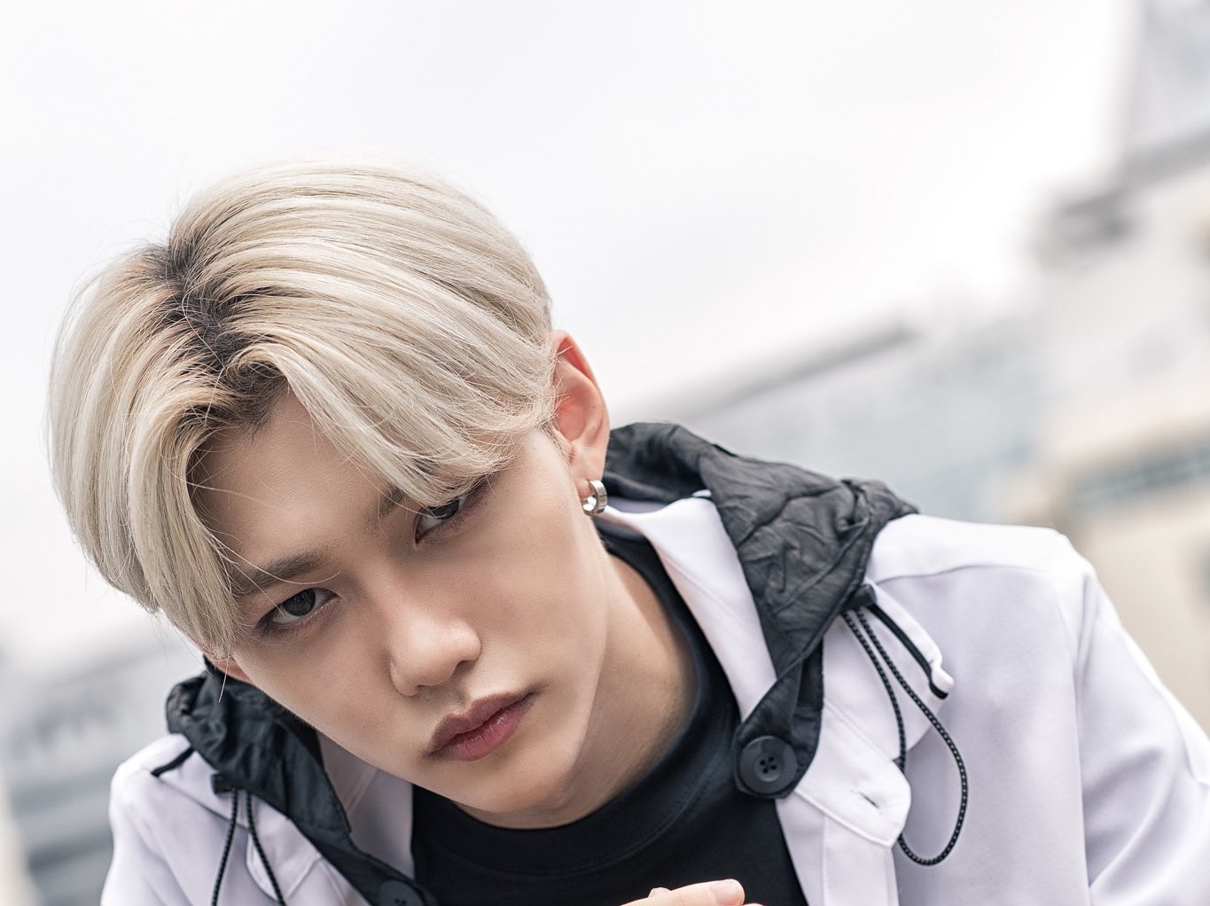 펠릭스는 햇살이다 thumbnail