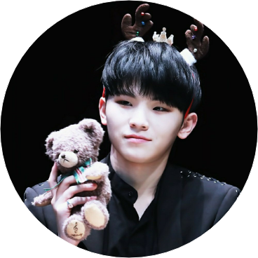 WOOZI image