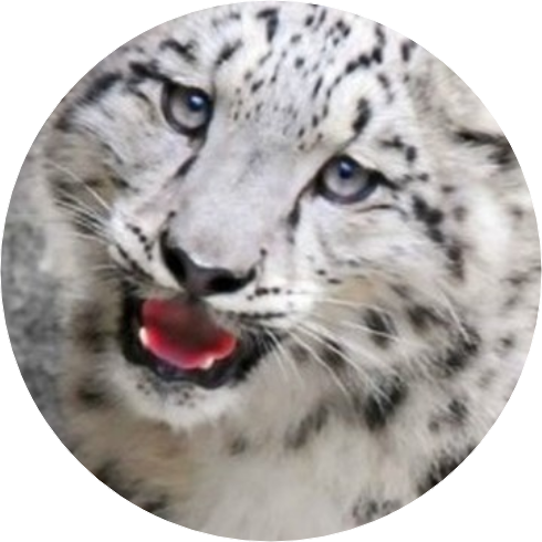 백호(여주) image