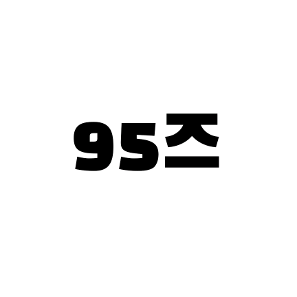 95즈 image