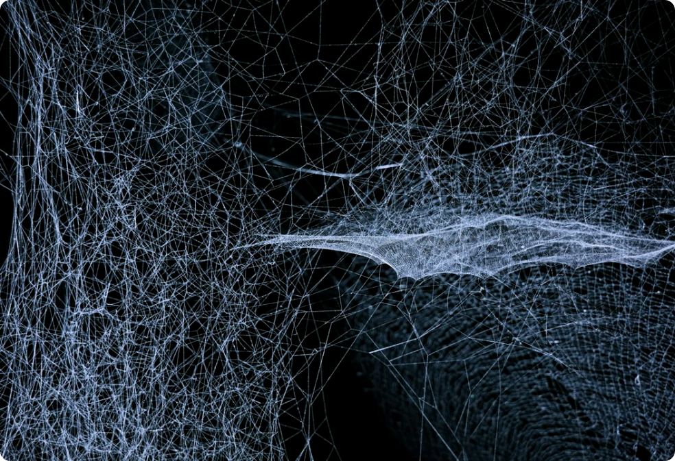 Em là tình yêu vĩnh cửu của anh [ ] (truyện ngắn) thumbnail