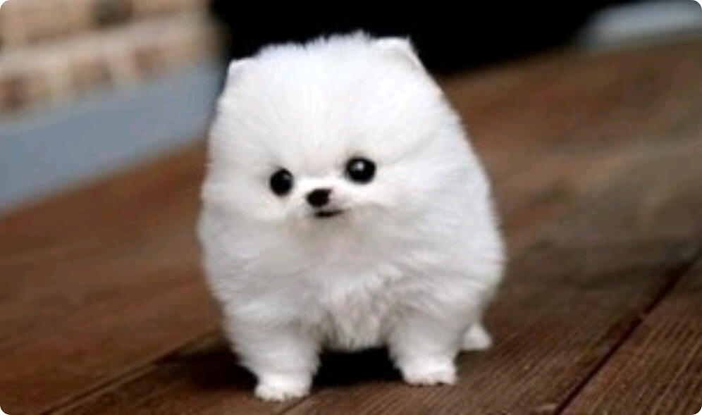 Anche oggi sei adorabile thumbnail