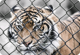 깜빵생활 thumbnail