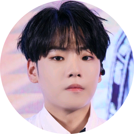 이션 image