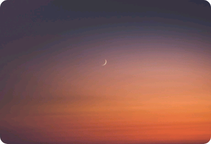 Và đêm đó, ông ta lên ngôi vua của tổ chức. thumbnail