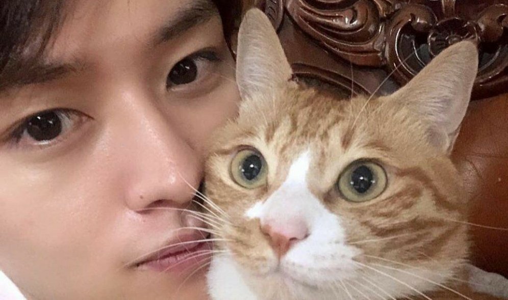 투표에 사용하세요 thumbnail