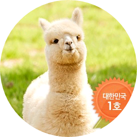 알파카(김석진) image