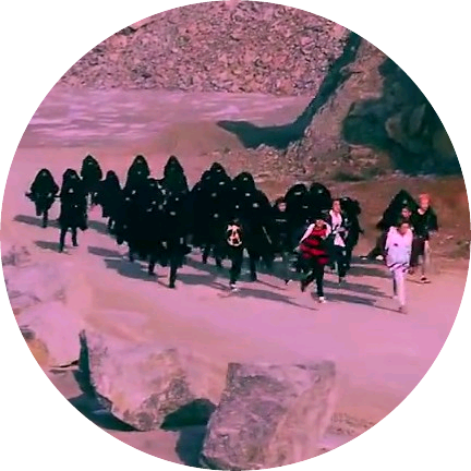 팬들 image