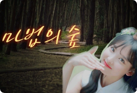 Bosque mágico thumbnail