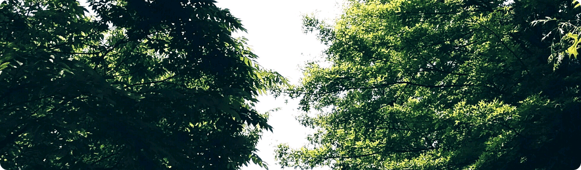 Our meeting thumbnail