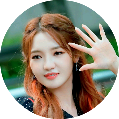 노지선 image