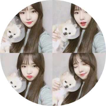 •°소희자까밈•° image