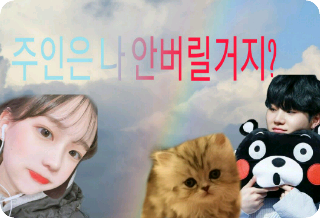 주인은 나 안버릴거지? thumbnail