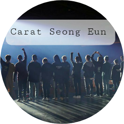 캐럿💎성은 image