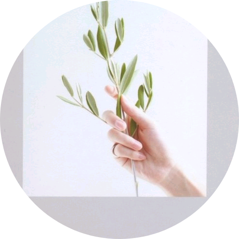 캐럿성은💎작까 image