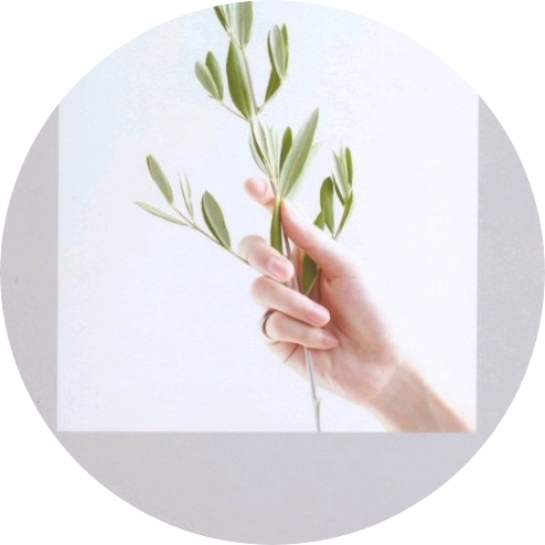 캐럿성은💎작까 image