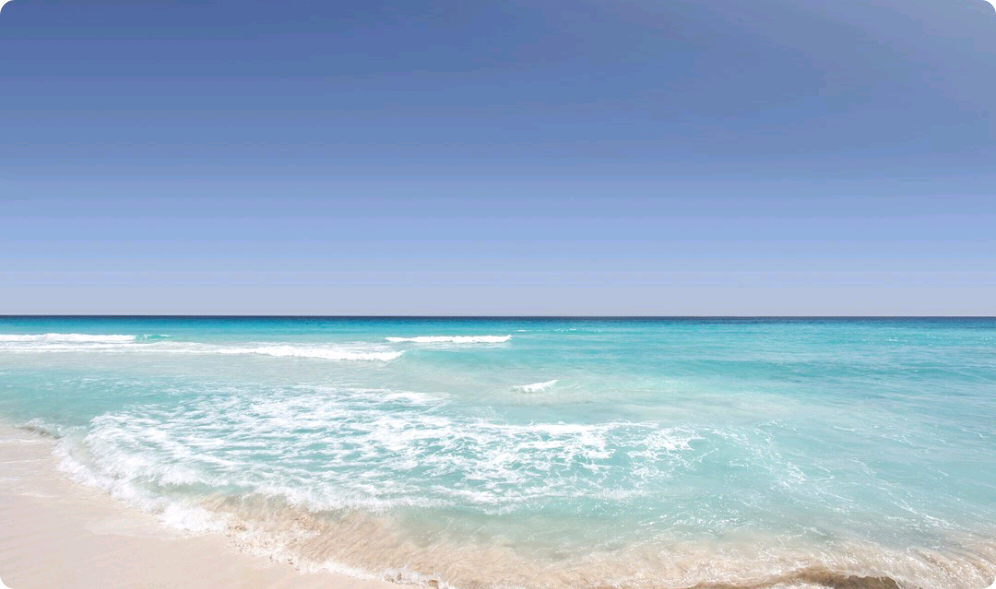 特別假期 thumbnail