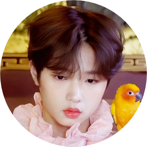 손표동(24,초4) image