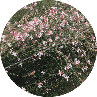 김여주 image