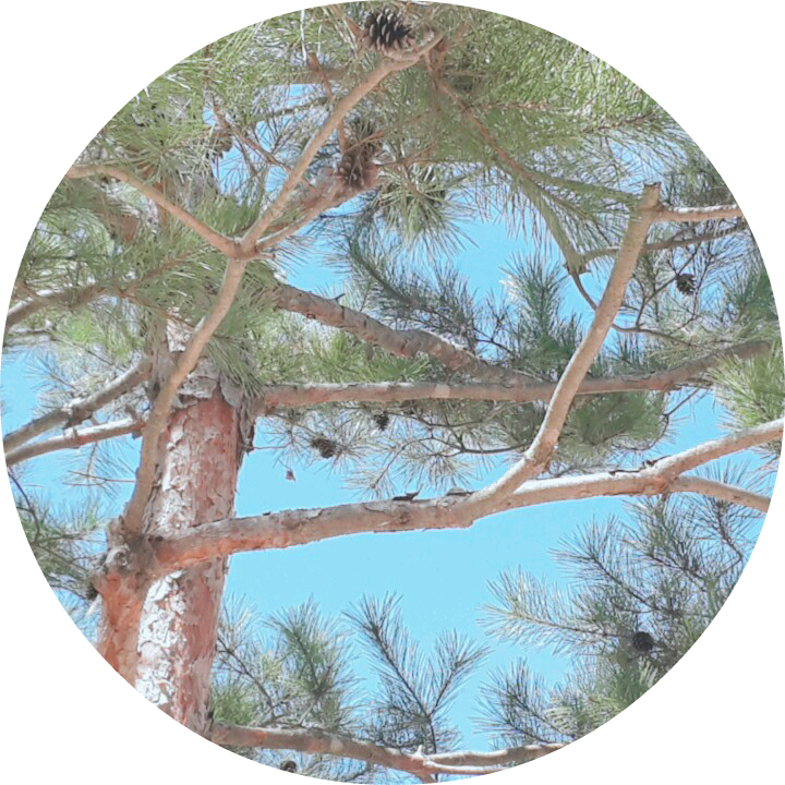 뭔늬ㅣ자까 image