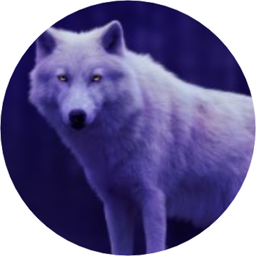 전정국 {늑대인간} image