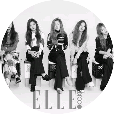 레드벨벳(채린빼고) image