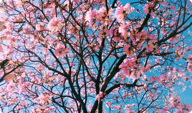 송형준 하고싶은거 다해 thumbnail