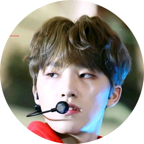 디노 image