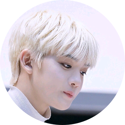 배진영 image