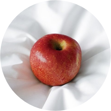 APPLE (들) image