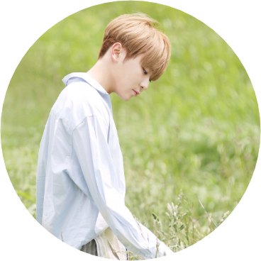 부승관 | 15 image