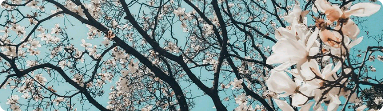 Tôi có nhân cách phân liệt thumbnail