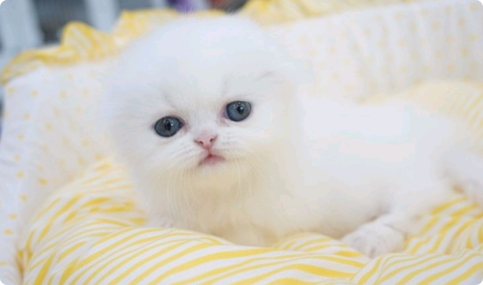 Tablón de anuncios thumbnail