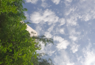 我記得，但我又不記得了。 thumbnail