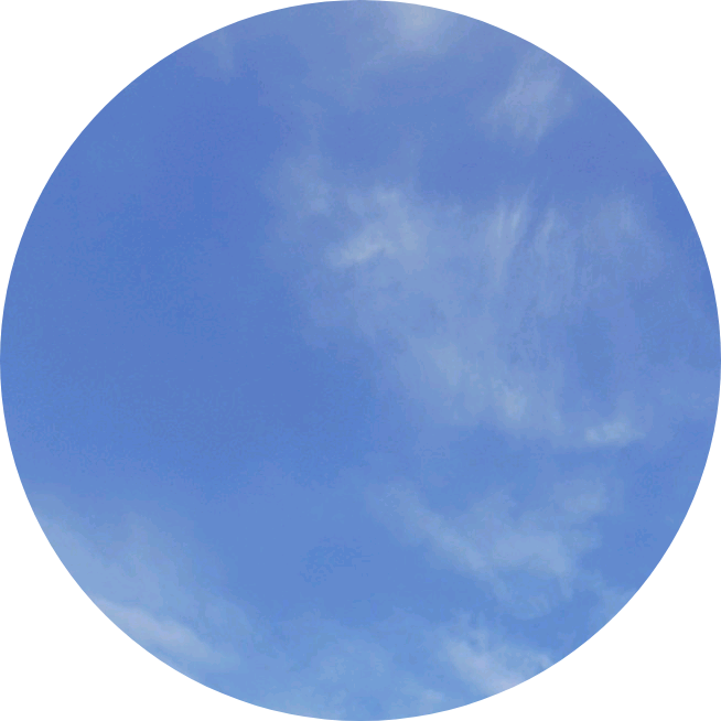 방탄단체로 image